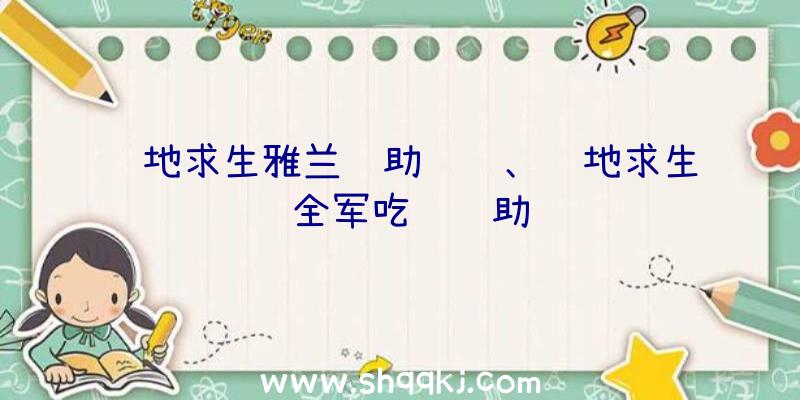 绝地求生雅兰辅助调试、绝地求生